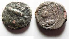 Ancient Coins - JUDAEA. NYSA-SCYTHOPOLIS. EARLY AE 19