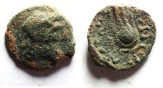 Ancient Coins - Ptolemaic Kings. Ptolemy Apion as King of Kyrenaika (104-96 BC) Æ 13