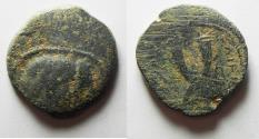 Ancient Coins - Arabia. Nabatean Kingdom. Obodas II (30-9 BC). AE 25mm, 8.07g. Petra mint. Probably struck in regnal year 6 (23/22 BC).