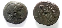 Ancient Coins - PTOLEMAIC KINGS of EGYPT. Ptolemy V or Ptolemy VI. 204-180 BC or 180-145 BC. Æ. ISIS