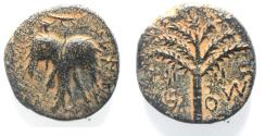 Ancient Coins - Judaea. Bar Kokhba War (AD 132-135). AE 23mm, 9.91g. Dated year 2 (AD 133/4)