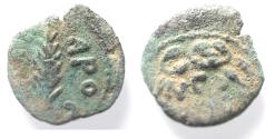 Ancient Coins - JUDAEA. Porcius Festus Procurator under Nero AE Prutah. 58/59 C.E.
