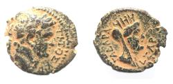 Ancient Coins - DECAPOLIS. GADARA. TITUS AE 16