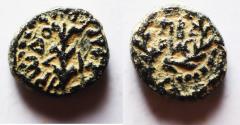 Ancient Coins - BE-HEADER OF JOHN THE BAPTIST: Judaea. Herodian dynasty. Herod Antipas (4 BC-AD 39).  AE 1/2 denomination (21mm, 9.17g).  Tiberias mint. Struck in regnal year 24 (AD 20/1).