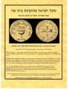 Ancient Coins - Parchment Paper - Description in Detail & Authenticity Certificate International