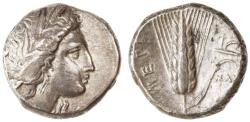 Ancient Coins - Metapontum, Lucania AR Stater / Nomos, Near Extremely Fine, 330 - 290 B.C.E.