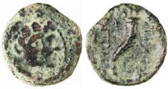 Ancient Coins - Akko-Ptolemais AE under Cleopatra Thea & Antiochos VIII, Fine+, 121 - 125 C.E.