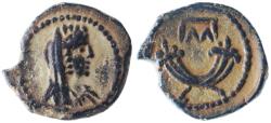 Ancient Coins - Petra of the Decapolis AE, Time of Hadrian, Choice Extremely Fine, 117 - 138 C.E.