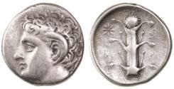 Ancient Coins - Cyrene, Cyrenaica AR Didrachm, Very Fine, 294 - 275 B.C.E.
