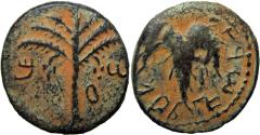 Ancient Coins - The Bar Kokhba-uprising (132-136 CE). year 2.