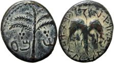 Ancient Coins - The Bar Kokhba-uprising (132-136 CE). Mildenberg plate coin.