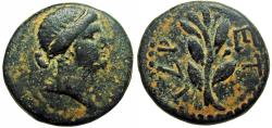 Ancient Coins - Syria, Seleucis and Pieria. Antiochia ad Orontem. Civic Issue. Time of Nero. AE