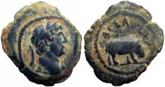 Ancient Coins - EGYPT, Alexandria. Hadrian. AD 117-138. Unique and unpublished.