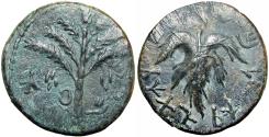 Ancient Coins - The Bar Kokhba-uprising (132-136 CE).