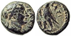 Ancient Coins - PTOLEMAIC KINGS of EGYPT. Berenike II, wife of Ptolemy III. Circa 244/3-221 BC