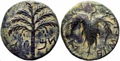 Ancient Coins - The Bar Kokhba-uprising (132-136 CE). dated year two.