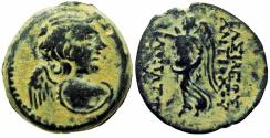 Ancient Coins - SELEUKID KINGS of SYRIA. Antiochos IX Eusebes Philopator (Kyzikenos). 114/3-95 BC. Æ