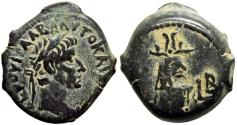 Ancient Coins - EGYPT, Alexandria. Galba. AD 68-69.