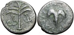 Ancient Coins - Judaea, Bar Kokhba Revolt. Æ Medium ,132-135 CE.
