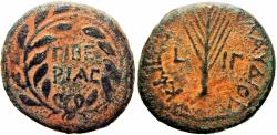 Ancient Coins - Herod Agrippa II (49/50 - 94/95 AD). Pre-Royal series.