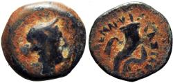 Ancient Coins - PTOLEMAIC KINGS of EGYPT. temp. Ptolemy VIII – Kleopatra VII. Mid 2nd-1st centuries BC.
