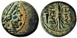 Ancient Coins - SELEUKID KINGDOM. Antiochos I Soter (281-261 BC).