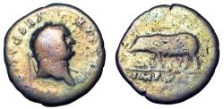Ancient Coins - Titus. Denarius. 77-79 AD.