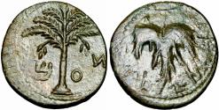 Ancient Coins - The Bar Kokhba-uprising (132-136 CE). undated issue ( years three).