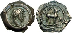 Ancient Coins - EGYPT, Alexandria. Hadrian. AD 117-138. Extremely Rare with no example online.