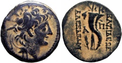 Ancient Coins - SELEUKID KINGS of SYRIA. Alexander II Zabinas. 128-122 BC. Lovely example for the type !!!