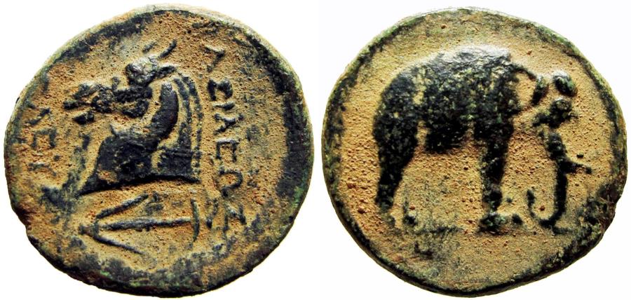 Ancient Coins - SELEUKID EMPIRE. Seleukos I Nikator. 312-281 BC. Stunning example.