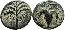 Ancient Coins - The Bar Kokhba-uprising (132-136 CE).