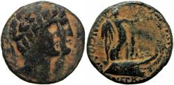 Ancient Coins - PHOENICIA. Tripolis. Autonomous issues, temp. Augustus, 27 BC-AD. 