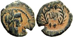 Ancient Coins - NABATAEA. Malichus II . Unique and unpublished type Second recorded .