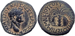 Ancient Coins - Judaea Capta; Bithynia, Asia Minor. Titus (79 - 81 AD), Among the rarist Judaea Capta bronze types !!!!!