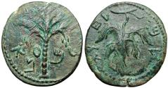 Ancient Coins - The Bar Kokhba-uprising (132-136 CE).