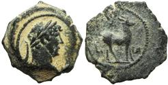 Ancient Coins - Hadrian Alexandria . 117-138.AD.