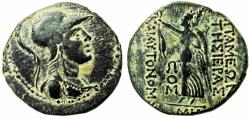 Ancient Coins - Seleucis and Pieria. Apameia 36-35 BC
