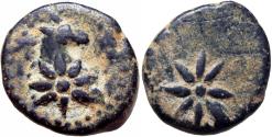Ancient Coins - PONTOS, Uncertain. Circa 130-100 BC. Very rare and exceptional for issue.