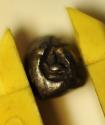 World Coins - Thailand Silver Pai - 1/32 Baht - Bullet Money no date 1851 - 1868 Rama IV