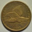 Us Coins - USA Flying Eagle Cent 1858