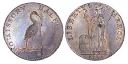 World Coins - HAMPSHIRE, PETERSFIELD / NEW YORK, KEMPSON’S MULE AE HALFPENNY