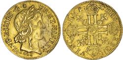 World Coins - France, Louis XIV, Louis d’or, 1651 F