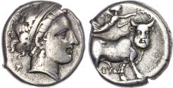 Ancient Coins - Campania, Neapolis, Silver Didrachm