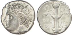 Ancient Coins - Kyrenaica, Magas of Kyrene, Silver Didrachm