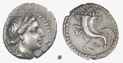 Ancient Coins - Roman Republic, L. Sulla.  AR Denarius, uncertain mint, circa 81 BC.  Venus / Double cornucopia