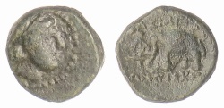 Ancient Coins - SELEUKID KINGS, Antiochos III ‘the Great’. AE denomination D, Sardes mint. Elephant
