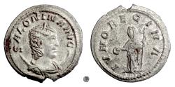 Ancient Coins - SALONINA.  AR Antoninianus, Antioch mint, struck 255-257 AD.  Juno