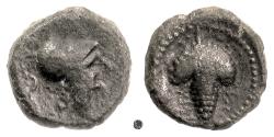 Ancient Coins - APULIA, Arpi,  AE 15, circa 215-212 BC.  Athena / Grape Bunch