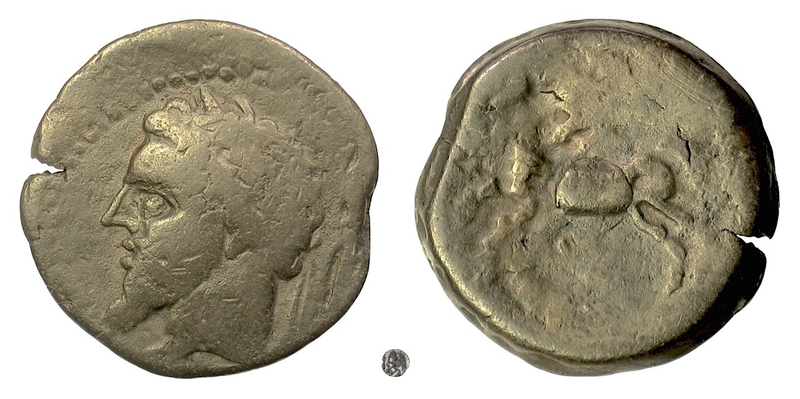 Micipsa Coin NUMIDIA, Massinissa or Micipsa. AE unit, 203-118 BC. | Greek Coins